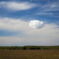 Одинокое облако :: Виктор Алеветдинов