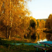 Осенью воздух особенно прозрачен... :: Мила Солнечная