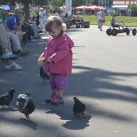 А вы кормите голубей? :: Александра Турбина