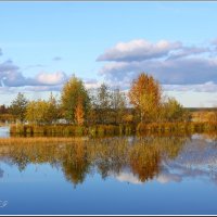 Осень в Сестрорецком разливе... :: Nikolay Shumilov