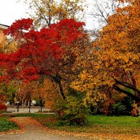 Краски осени. :: Анатолий 