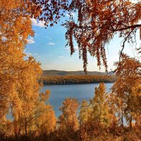 В золотом уборе. :: Наталья Юрова