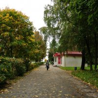 Осенний тротуар :: Nataly_ru 