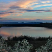 Облепиховые берега. :: Наталья Юрова