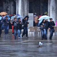 Дождь в Венеции :: Valeriy(Валерий) Сергиенко