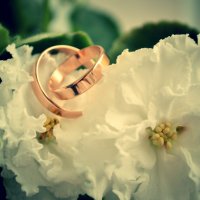 Wedding Rings 5 :: Kira Gren