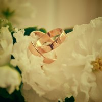 Wedding Rings 4 :: Kira Gren