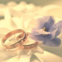 Wedding Rings 2 :: Kira Gren