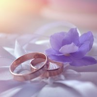 Wedding Rings 1 :: Kira Gren