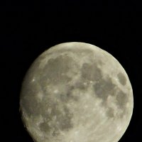 Луна. :: Евгения 