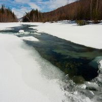 Весеннее настроение III :: Владимир Сковородников