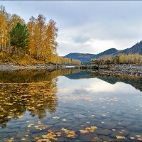 Нижняя Катунь. Осень :: Виктор Четошников