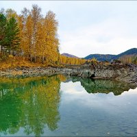 Нижняя Катунь. Осень :: Виктор Четошников