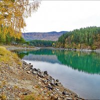 Нижняя Катунь. Осень :: Виктор Четошников