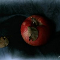 Осеннее яблоко :: Марина Захарина