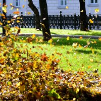 Полёт осенних листьев над Москвой) :: Екатерина Т.