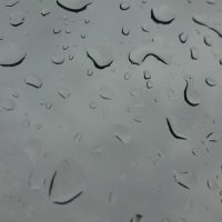 Капли дождя :: неля ибрагимова