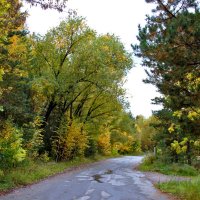 Осенняя дорога :: Александр Садовский