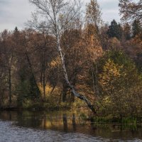 *** :: Владимир Безбородов