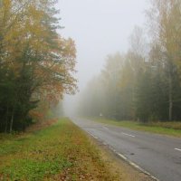 Утренний туман :: Виталий Андрейчук