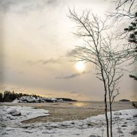 Солнце, Ладога, февраль :: Андрей Бобин
