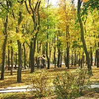 Осень в парке :: Валерий Тарасов