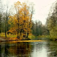 Остров из листьев на тоненьком льду. :: Елена Вишневская