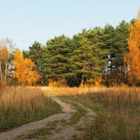 Смоленская осень. :: Милешкин Владимир Алексеевич 