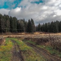 Подмосковные Пейзажи :: юрий поляков