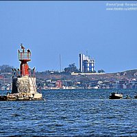 И  СНОВА - АНАПА!.. :: Валерий Викторович РОГАНОВ-АРЫССКИЙ