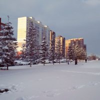 Наконец-то зима к нам пришла! :: Татьяна Лютаева