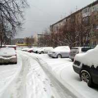 Зима уж на пороге ! :: Мила Бовкун