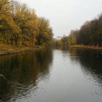 Городской парк в ноябре. :: Милешкин Владимир Алексеевич 