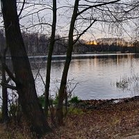 Вечер в Малаховском парке у озера. :: Олег Пучков