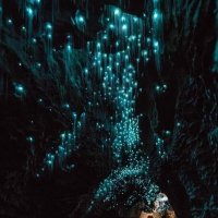 Пещера в Новой Зеландии освещена светлячками :: Anna-Sabina Anna-Sabina