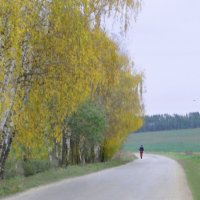 "Золотистими барвами, тихо ходить осінь полями, садами, дорогами..." :: Ростислав Кухарук