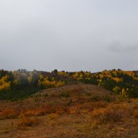 Золотые горы.Осень. :: Андрей Хлопонин