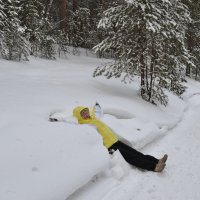 Лесная снеготерапия... :: Андрей Хлопонин