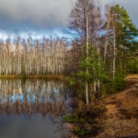 Подмосковье середина ноября # 3. :: Андрей Дворников