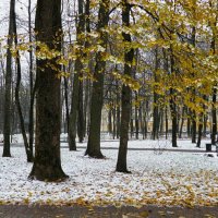 Городской сад в ноябре. :: Милешкин Владимир Алексеевич 