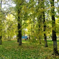 В начале октября в городском парке :: Елена Семигина