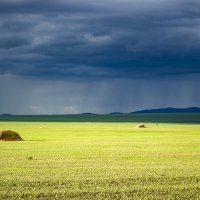 Гроза :: Дмитрий Сычевский