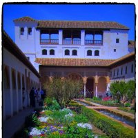 Под ярким солнцем Андалузии...( цветники в Арабских двориках Альхабры) :: Владимир и Ир. Кв.