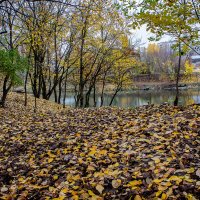 Фотозарисовка :: Владимир Кроливец