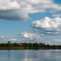 Шумилинское озеро летом. 08.08.2020. :: Анатолий Клепешнёв