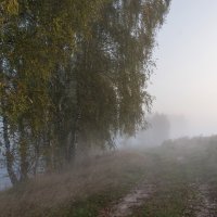 Туман на озере. :: Владимир Безбородов