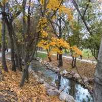 Осень в парке Гагарина :: Валентин Семчишин
