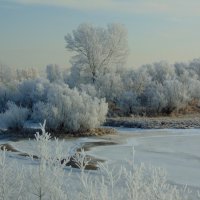 Застыли реки и земля застыла. :: nadyasilyuk Вознюк