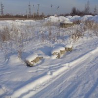 По дороге на озеро :: Андрей Макурин