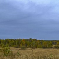 Осенние просторы :: Сергей Цветков